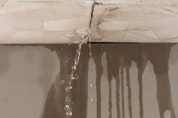 Professional Structural Drying technician working in Utica, MN